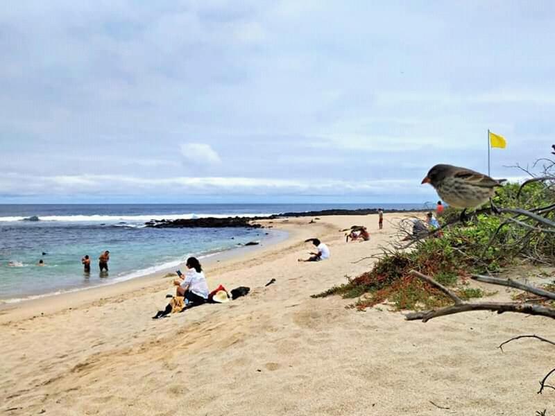 Hostal Albatros San Cristóbal 외부 사진